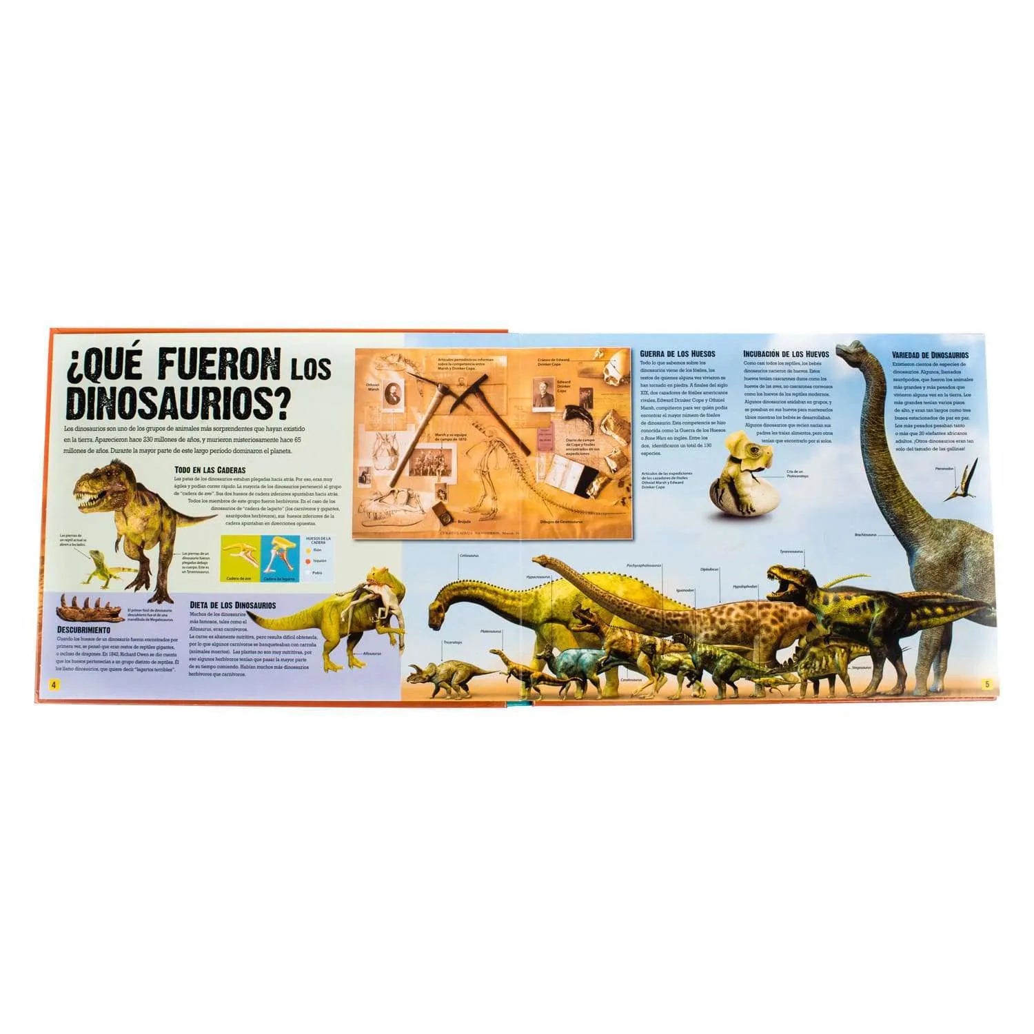 Atlas de los Dinosaurios - Desliza y Descubre